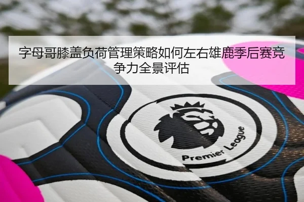 字母哥膝盖负荷管理策略如何左右雄鹿季后赛竞争力全景评估