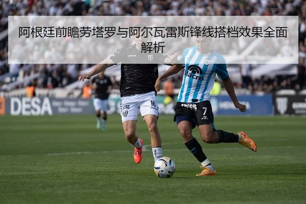 阿根廷前瞻劳塔罗与阿尔瓦雷斯锋线搭档效果全面解析