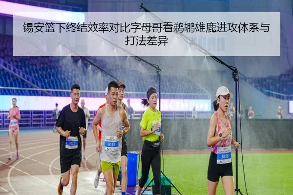锡安篮下终结效率对比字母哥看鹈鹕雄鹿进攻体系与打法差异