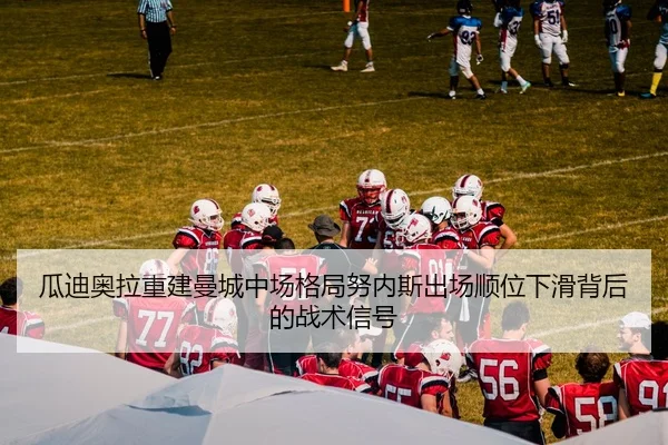 img_1784036524854_447_1_433.jpg